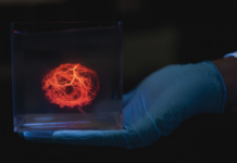 Stanford: 10 tecnologias de fronteira que vão redefinir o planeta Modelo de árvore vascular impresso por bioimpressora 3D